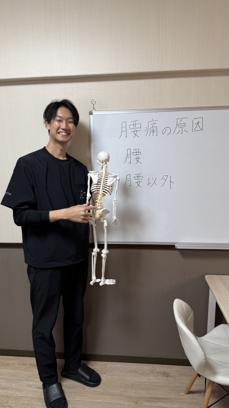 筒井院長による解剖学解説